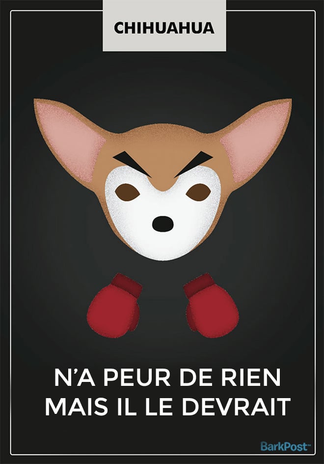 Ne Paie Pas De Mine 7 Lettres